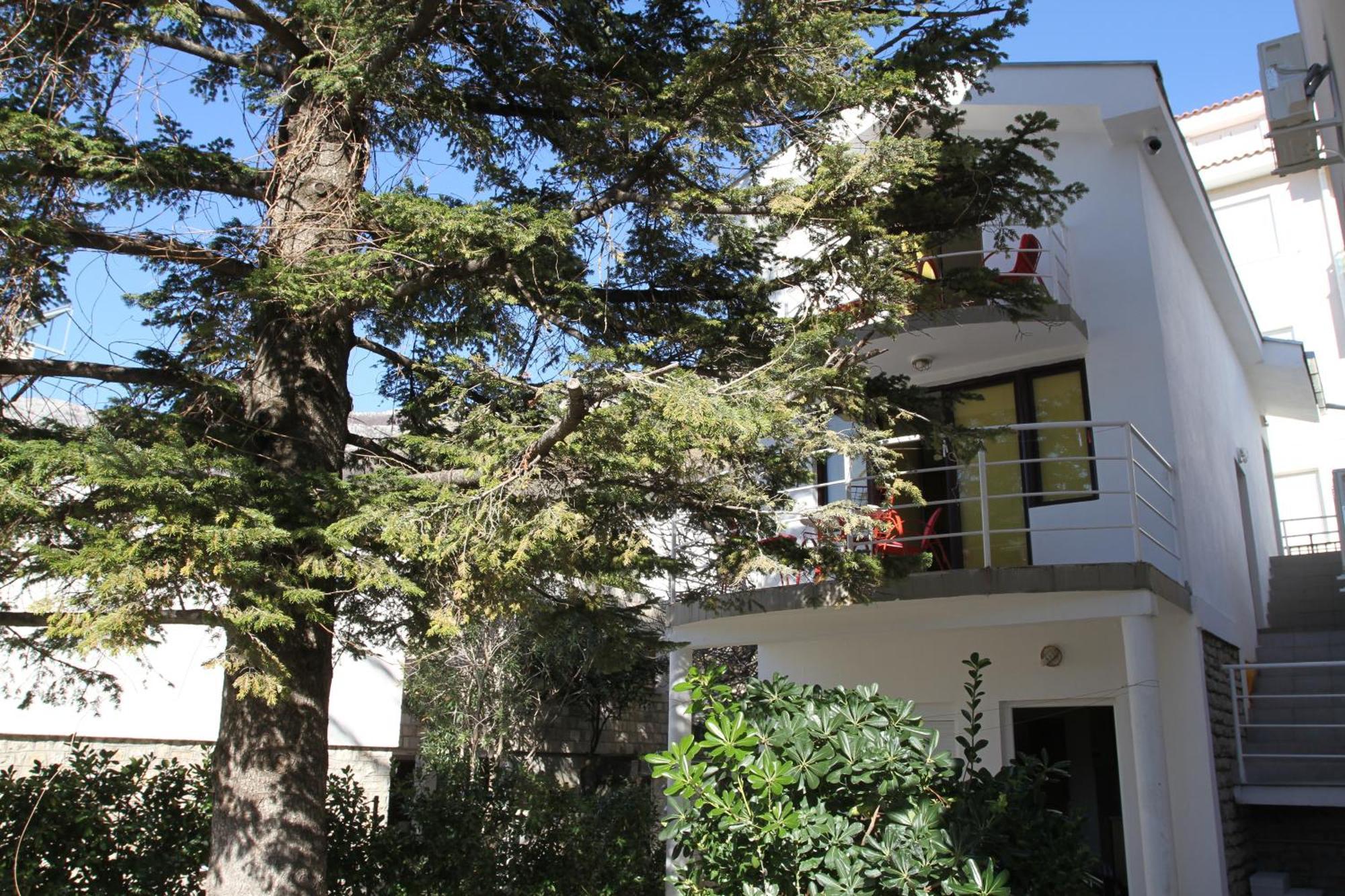 Apartments Popovic Petrovac na moru Exterior foto